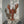 Load image into Gallery viewer, Mosaic Lobster Red