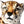 Load image into Gallery viewer, Cheetah Lying