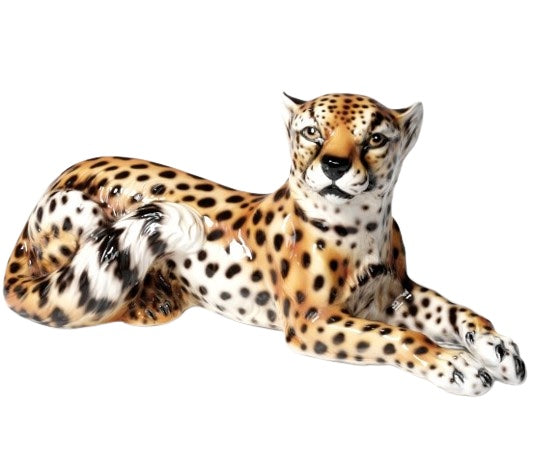 Cheetah Lying