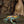 Load image into Gallery viewer, Classic Mosaic Frog
