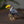 Load image into Gallery viewer, Toucan