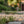 Load image into Gallery viewer, Classic Mosaic Crocodile