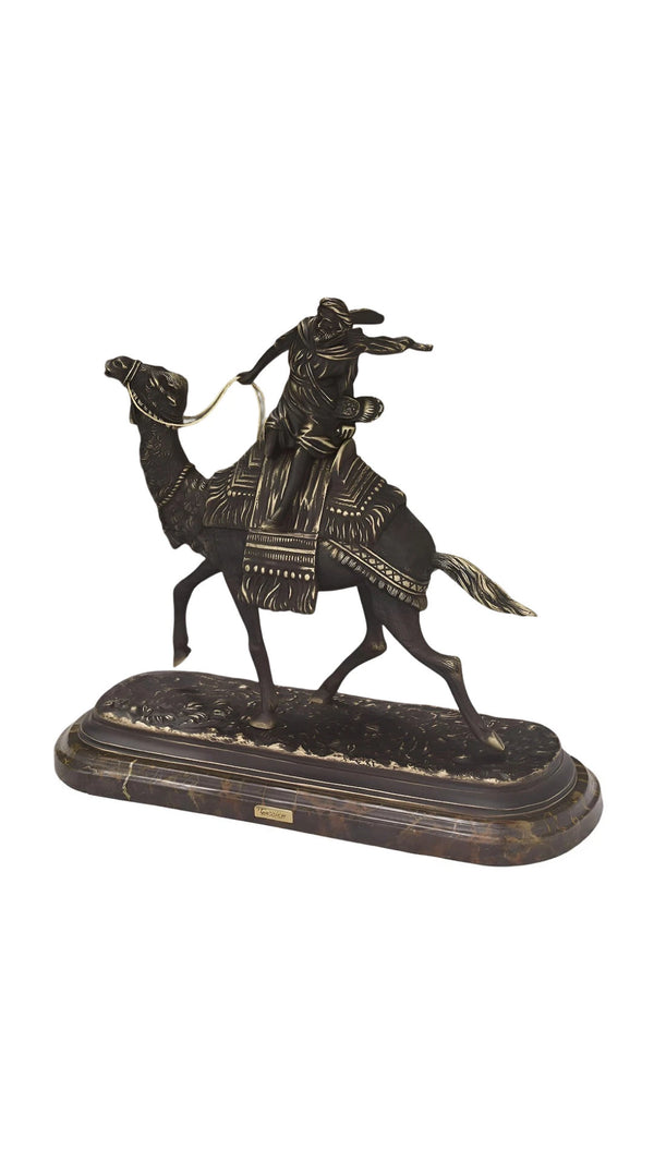 Camel with Rider