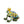Load image into Gallery viewer, Mosaic Crowned Frog