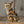 Load image into Gallery viewer, Tiger