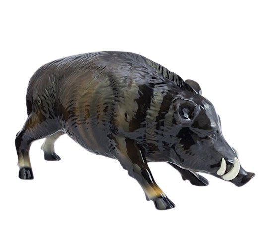 Boar