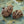 Load image into Gallery viewer, Otter & baby Set