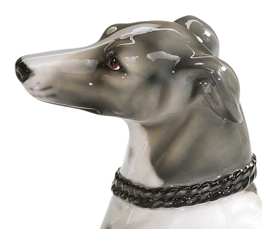 Whippet