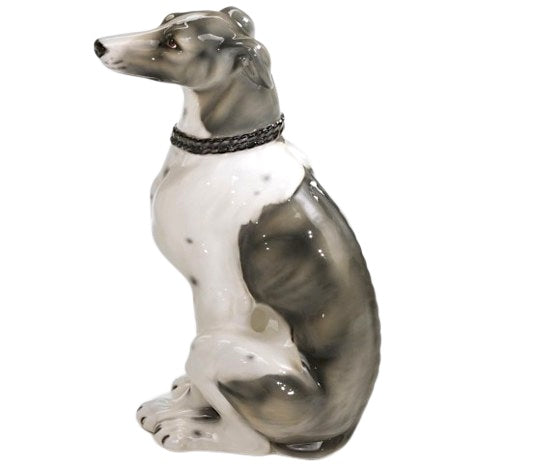 Whippet