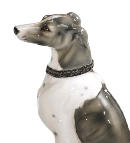 Whippet