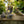 Load image into Gallery viewer, Jumping Frog & baby Set