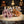 Load image into Gallery viewer, Chinese Dragons Set