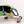 Load image into Gallery viewer, Panther Sculpture Iridiscent
