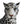 Load image into Gallery viewer, Jaguar