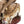 Load image into Gallery viewer, Watusi Queen