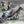 Load image into Gallery viewer, Fantasia