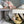 Load image into Gallery viewer, The Ugly Duckling