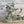 Load image into Gallery viewer, Hawaiian Festival