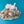 Load image into Gallery viewer, And the leopard shall lie down with the kid