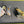 Load image into Gallery viewer, Summer pond