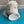 Load image into Gallery viewer, Celestial Creamer