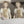 Load image into Gallery viewer, Alleluia Cantata