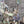 Load image into Gallery viewer, Hawaiian Ceremony