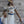 Load image into Gallery viewer, Dance of Joy