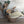 Load image into Gallery viewer, Girl With Guitar