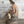 Load image into Gallery viewer, Daydreamer