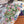 Load image into Gallery viewer, Gaudi Lady