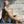 Load image into Gallery viewer, Schehrazade