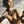 Load image into Gallery viewer, Schehrazade