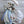 Load image into Gallery viewer, Southern Charm