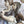 Load image into Gallery viewer, Southern Charm