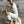 Load image into Gallery viewer, Poetic Interlude