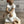 Load image into Gallery viewer, Poetic Interlude