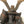 Load image into Gallery viewer, Samurai