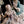 Load image into Gallery viewer, A Quiet Conversation