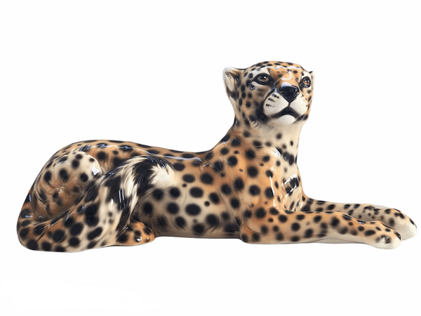 Cheetah Lying