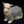 Load image into Gallery viewer, Yorkshire Terrier