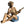 Load image into Gallery viewer, Schehrazade