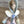Load image into Gallery viewer, Sweet Spring