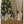 Load image into Gallery viewer, Camel Nativity Golden Lustre