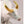 Load image into Gallery viewer, The Ox Mini