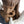 Load image into Gallery viewer, At Peace