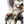 Load image into Gallery viewer, Little Harlequin Yellow
