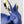 Load image into Gallery viewer, Attentive Bunny