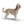 Load image into Gallery viewer, Afghan Hound