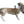 Load image into Gallery viewer, Bassett Dog